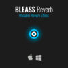 BLEASS Reverb - Image 3